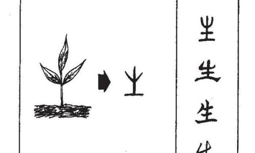 全麦面包的吃法减肥-全麦面包的吃法网 :分享全麦面包的吃法和做法-全麦面包的吃法推荐知识